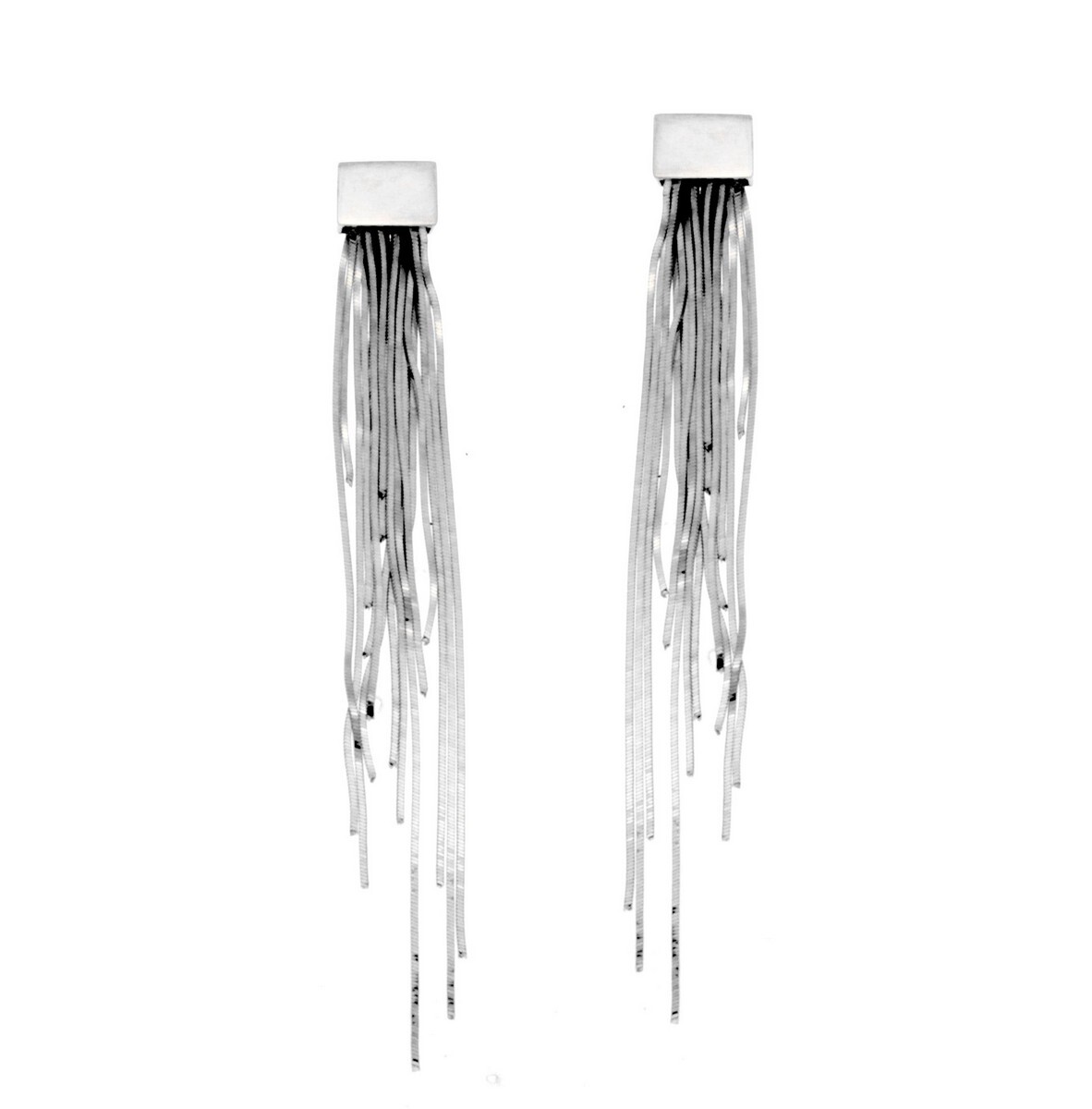 Earrings Fringe